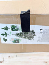 Solagua Árbol de Navidad Artificial Solagua 210cm - foto 8